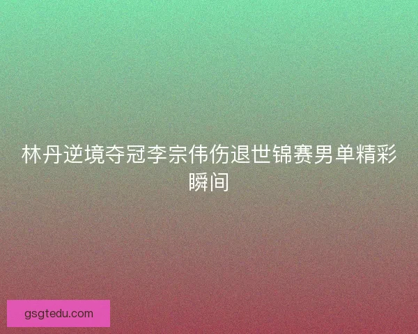 林丹逆境夺冠李宗伟伤退世锦赛男单精彩瞬间