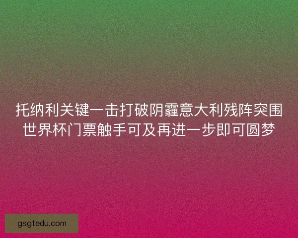 托纳利关键一击打破阴霾意大利残阵突围世界杯门票触手可及再进一步即可圆梦